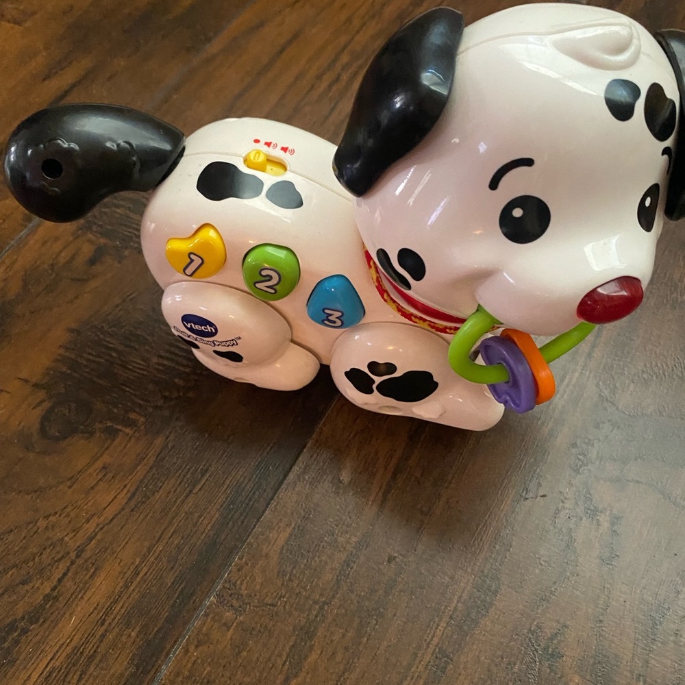 V-tech Pull and Sing puppy!